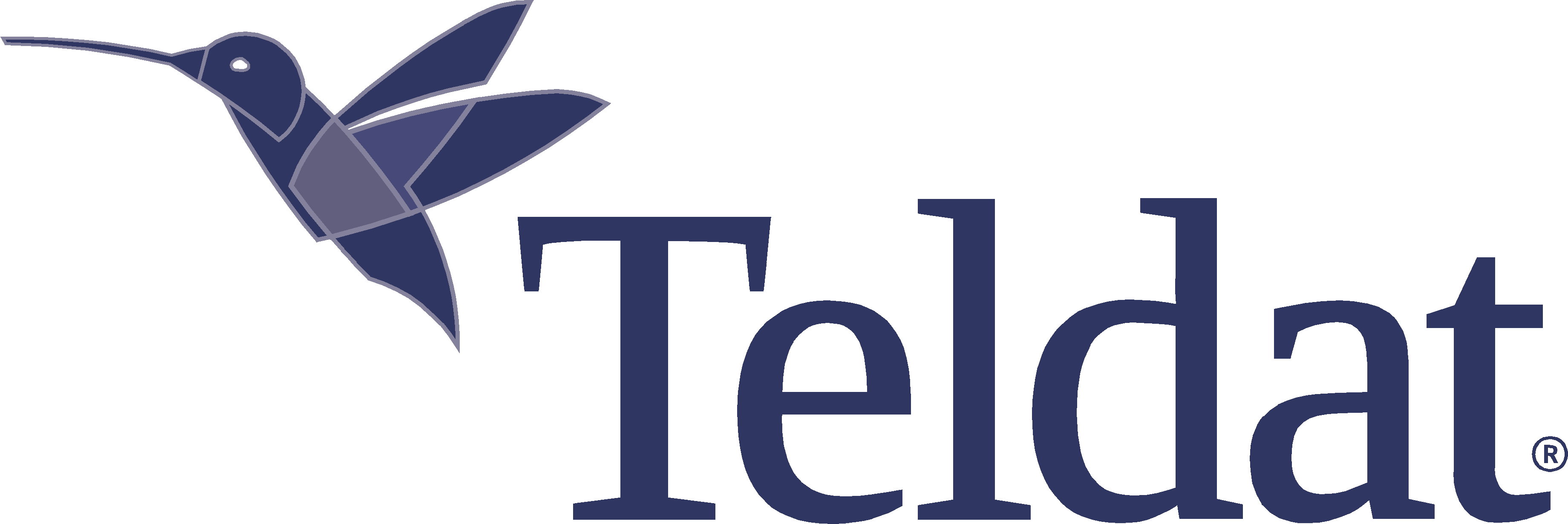 Teldat Corporate Logo.png